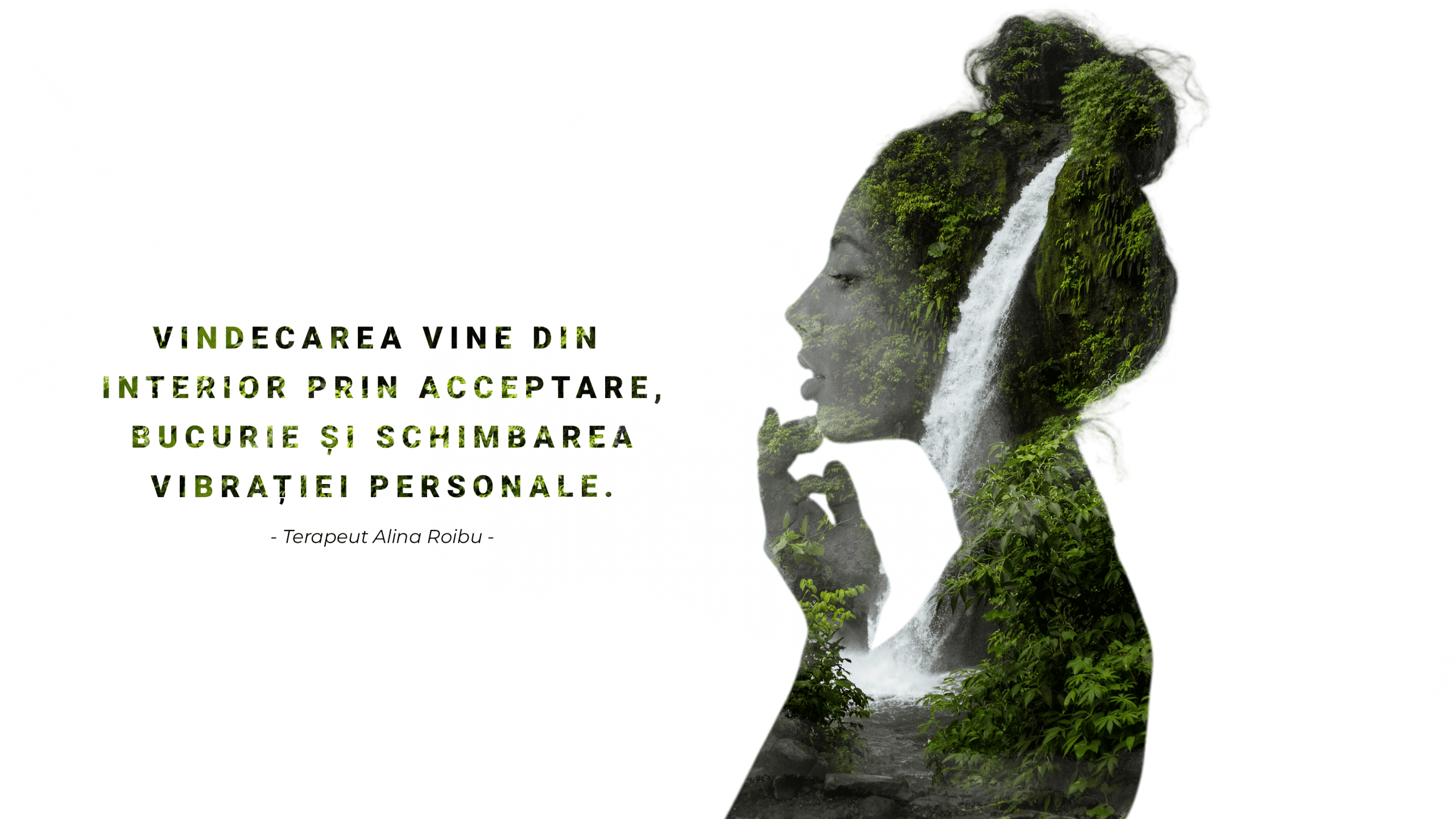 Intra în aplicație